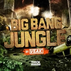 Big Bang Jungle by Veak
