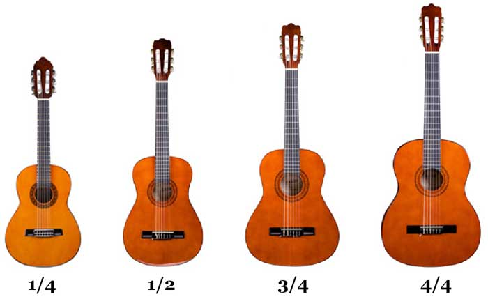 All sizes of guitar